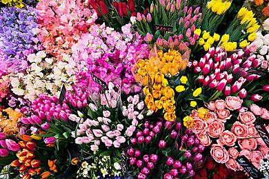 《上古卷轴4：重制版》玩家突破400万 Steam峰值19万